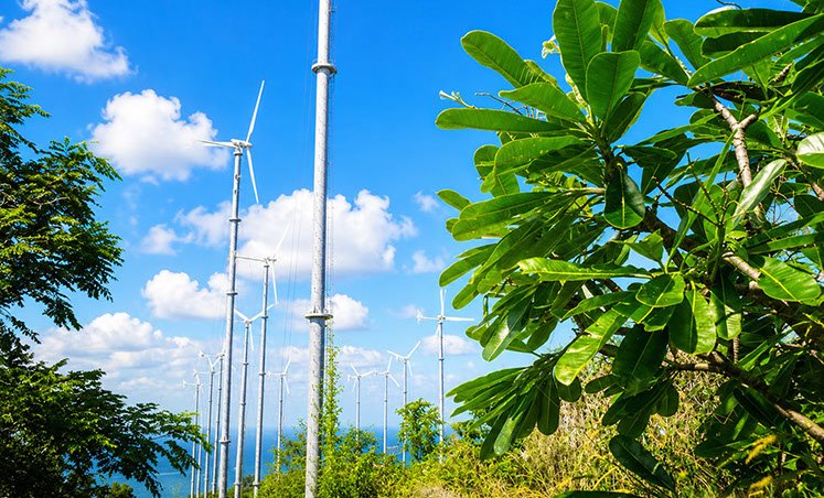 A view from the wind farm on Koh Larn