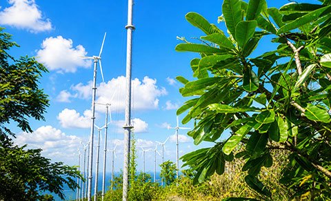 A view from the wind farm on Koh Larn