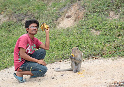 Nice monkey on Nual Beach of Koh Larn