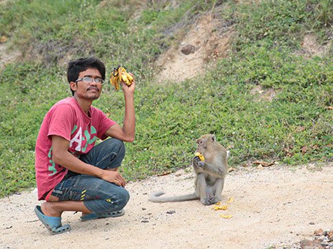 Nice monkey on Nual Beach of Koh Larn