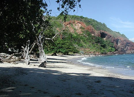 Monkey Beach of Koh Larn, Nual Beach, Pattaya 