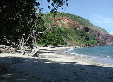 Monkey Beach of Koh Larn, Nual Beach, Pattaya 