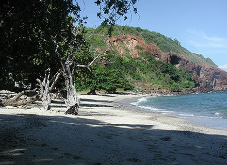 Monkey Beach of Koh Larn, Nual Beach, Pattaya 