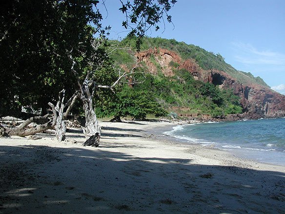 Monkey Beach of Koh Larn, Nual Beach, Pattaya 