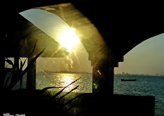 Apartment on Koh Larn Pattaya