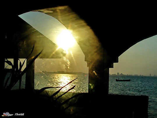 Apartment on Koh Larn Pattaya